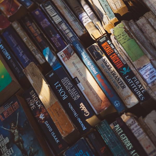 A shelf of novels